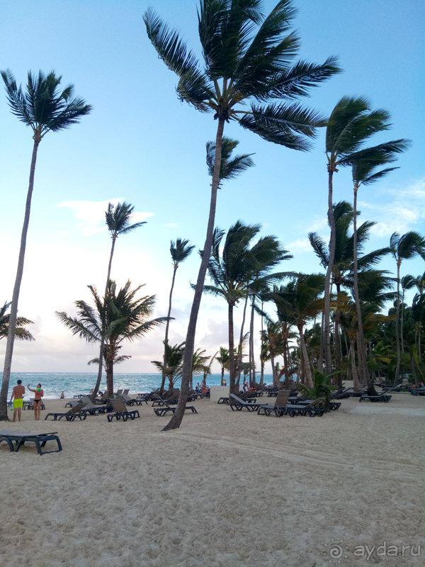 фото Occidental Punta Cana