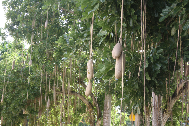 Один из лучших отелей на берегу Карибского моря