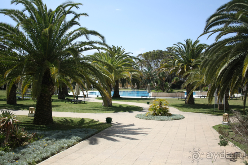 Рай для взрослых  