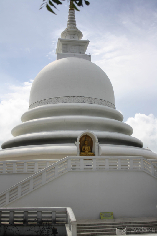 Место с особой атмосферой и прекрасной смотровой площадкой.