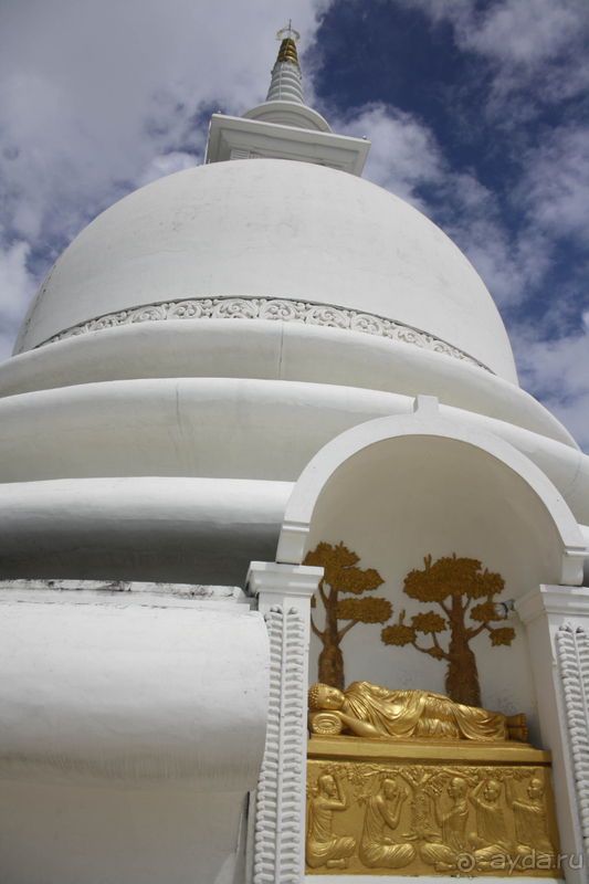 Место с особой атмосферой и прекрасной смотровой площадкой.