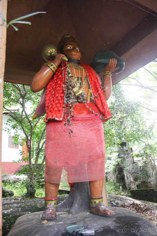 Место с особой атмосферой и прекрасной смотровой площадкой.