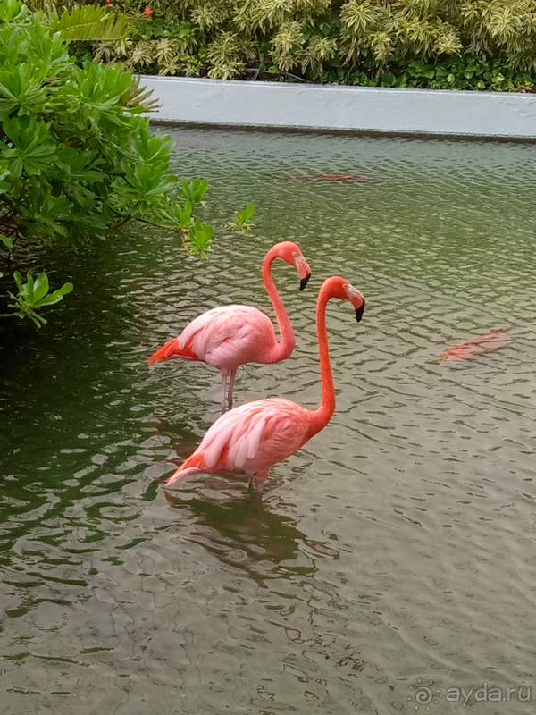 рай для взрослых