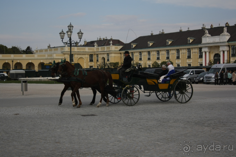 Один из главных символов Вены