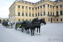 Один из главных символов Вены