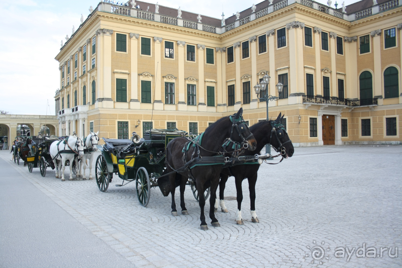 Один из главных символов Вены