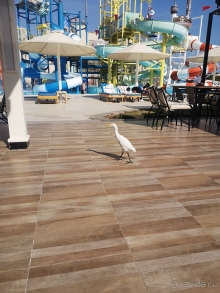 Отличный недорогой отель