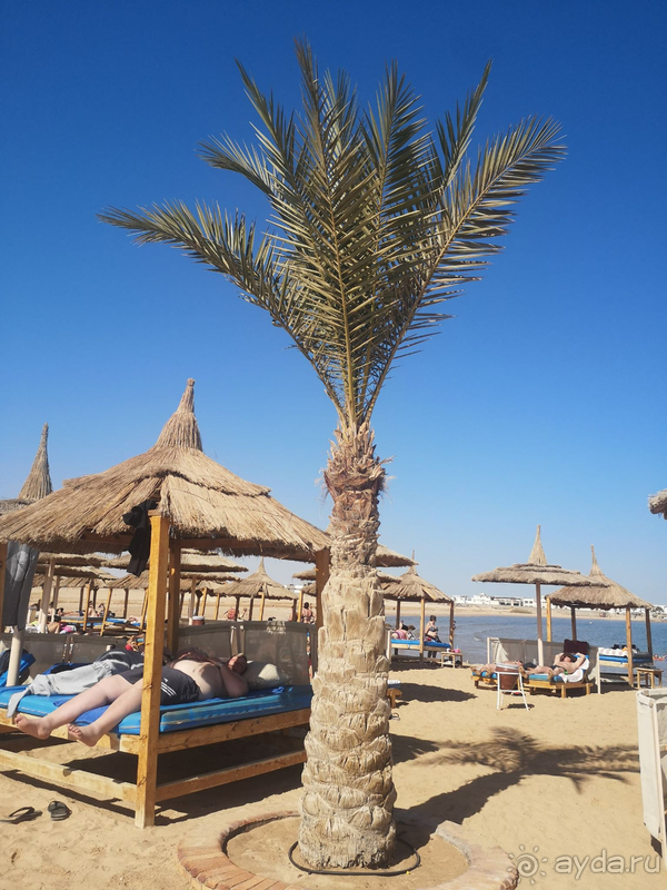 Отличный недорогой отель