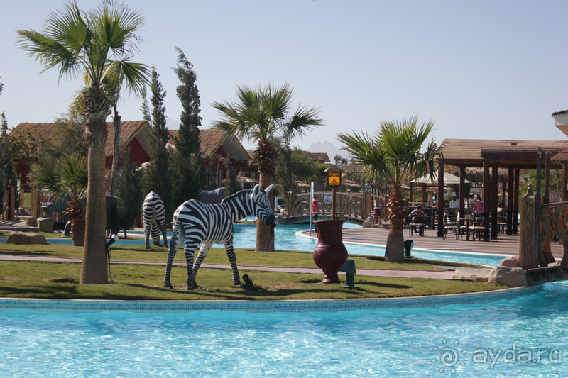 Для компаний и семей с детками