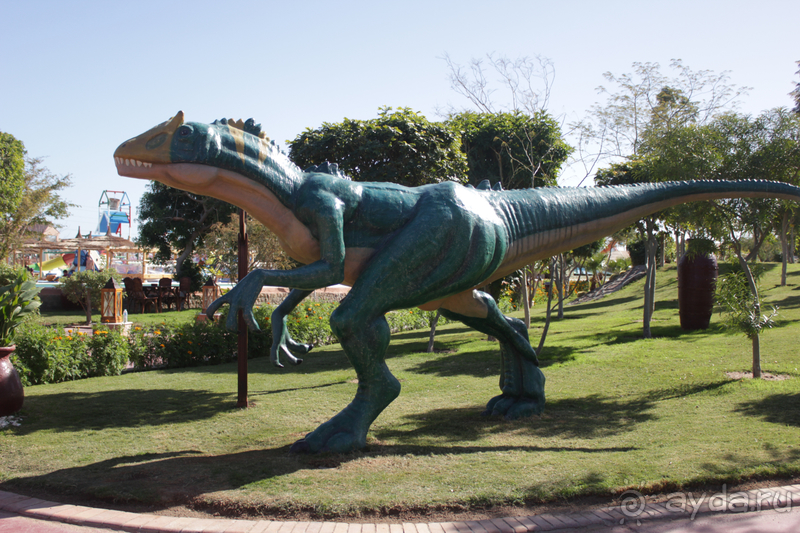 Для компаний и семей с детками