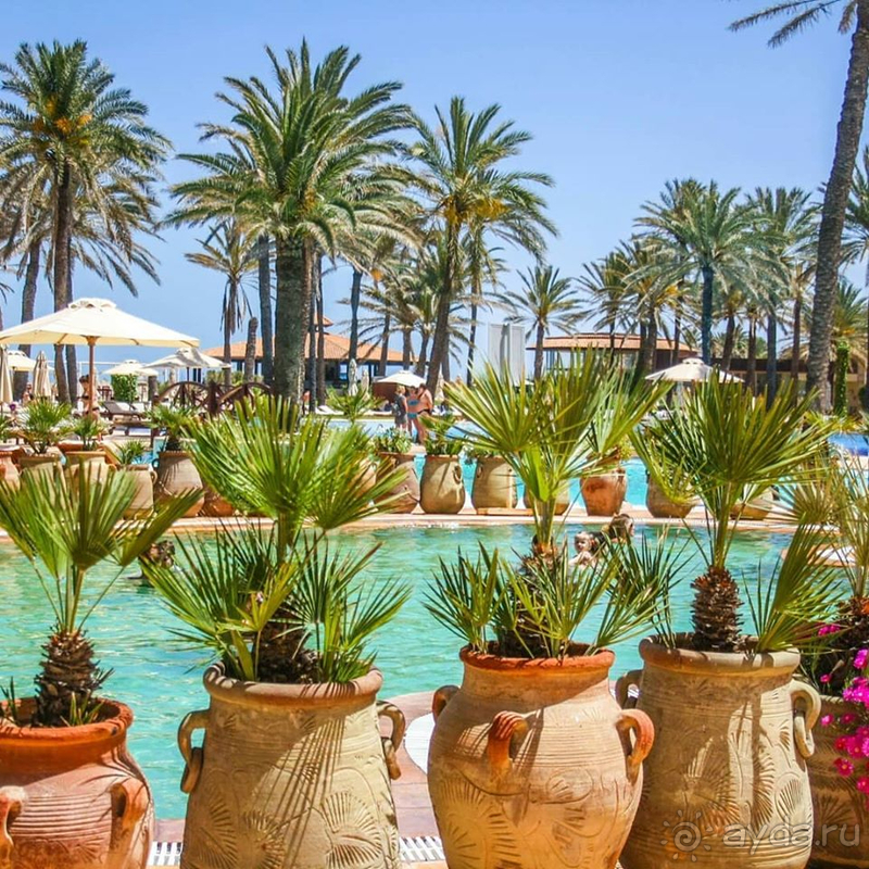 фото Movenpick Resort & Marine Spa