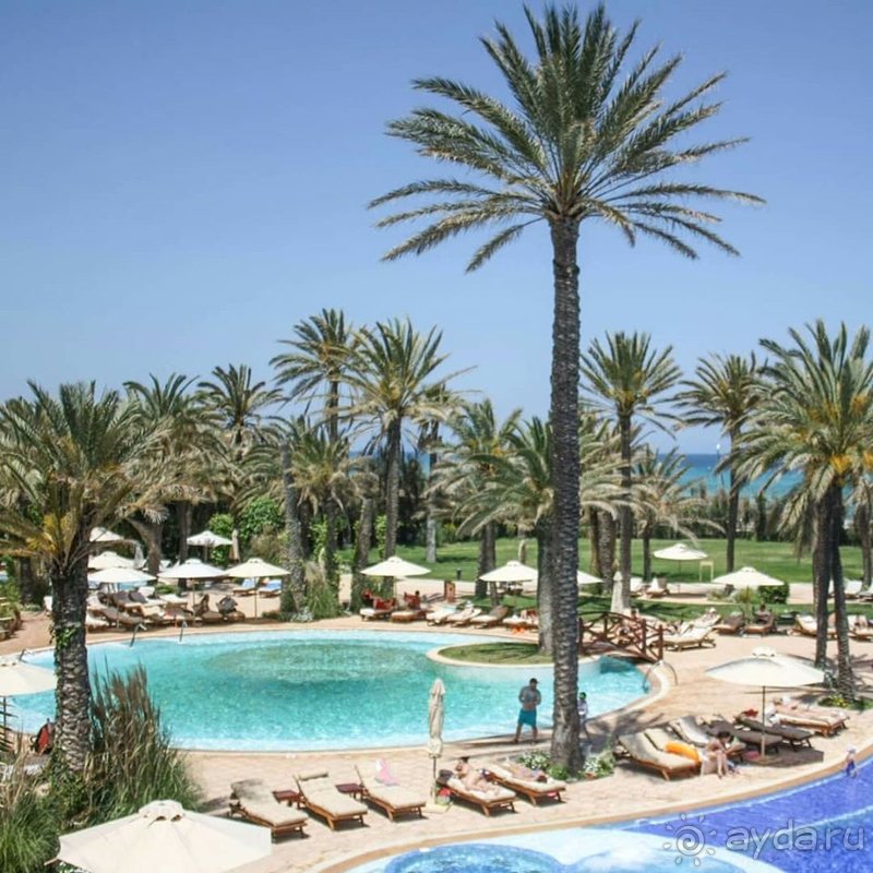 фото Movenpick Resort & Marine Spa