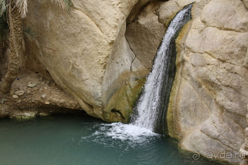 Райский уголок посреди пустыни