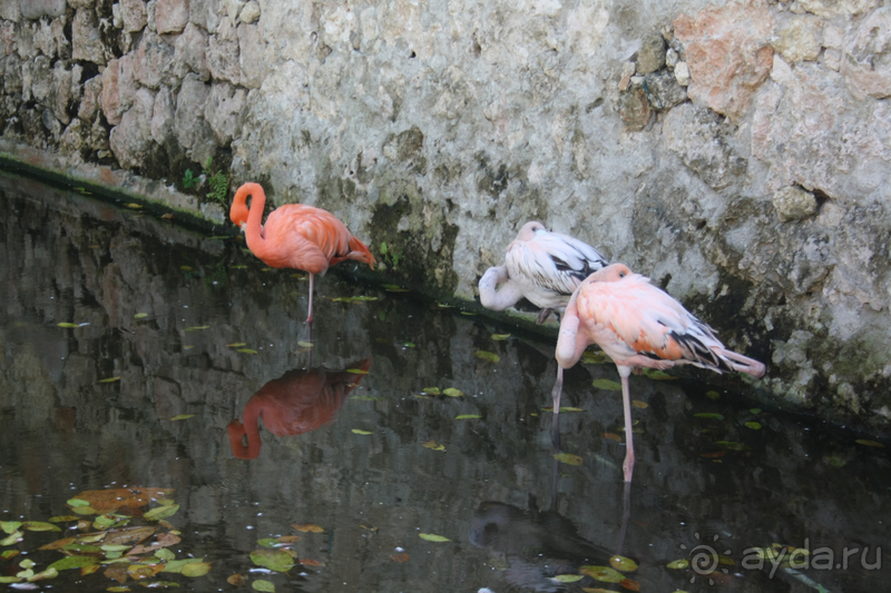 Самый противоречивый отель за весь мой опыт путешествий