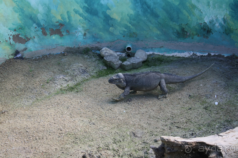 Один из самых ужасных отелей Доминиканы