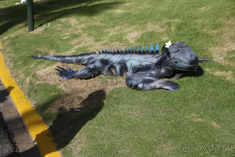 Один из самых ужасных отелей Доминиканы