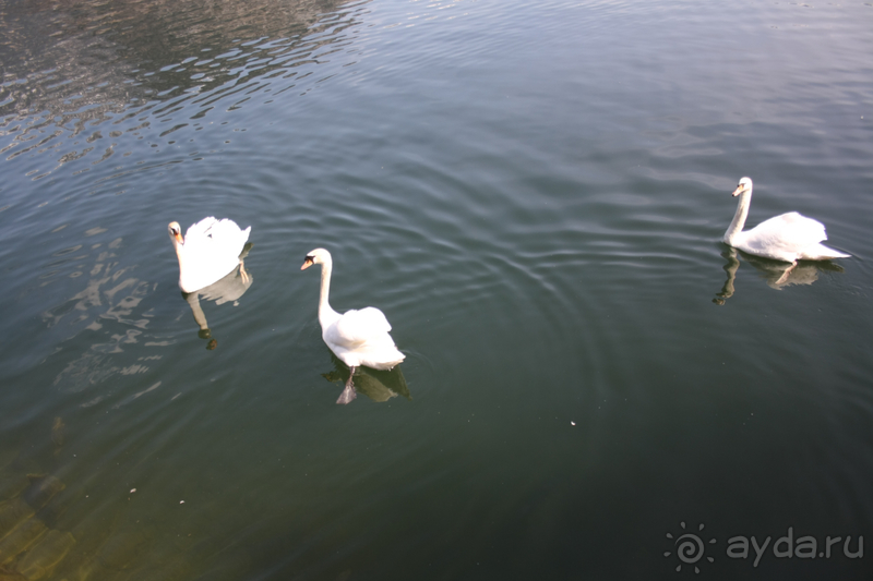 Настоящая австрийская жемчужина