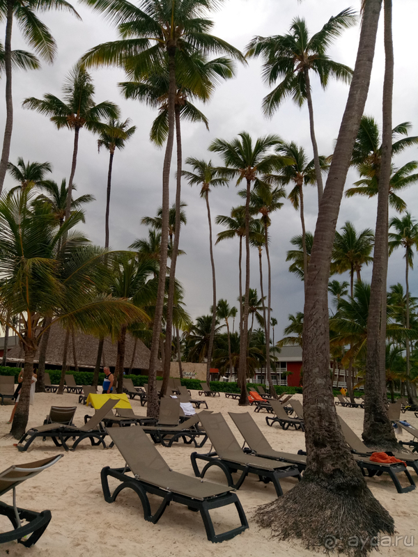 Карибская классика, которая начинает портиться