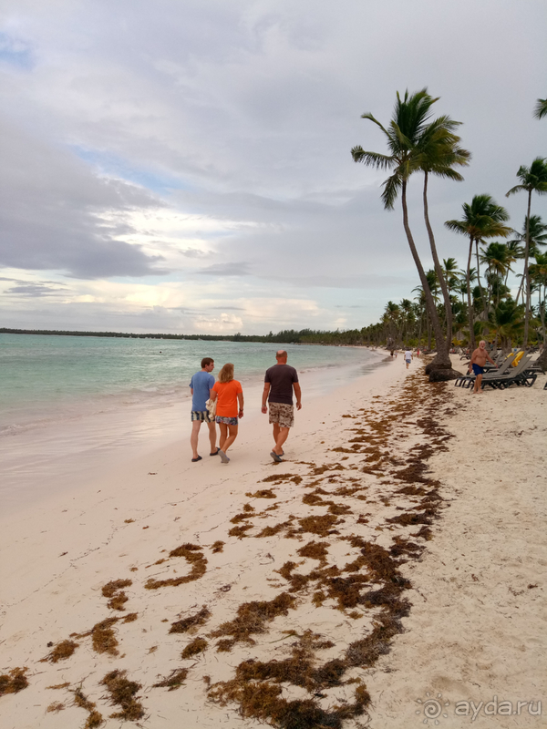 Карибская классика, которая начинает портиться