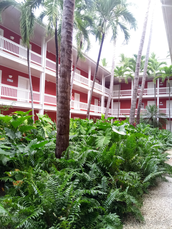 Карибская классика, которая начинает портиться