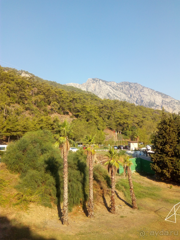 Лучший турецкий отель Лучший турецкий отель