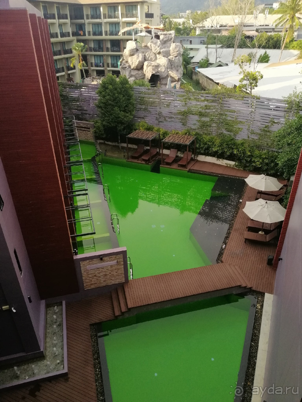 Самый необычный бассейн!