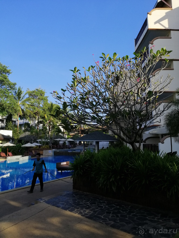 Самый необычный бассейн!