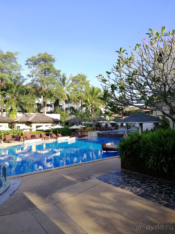 Самый необычный бассейн!