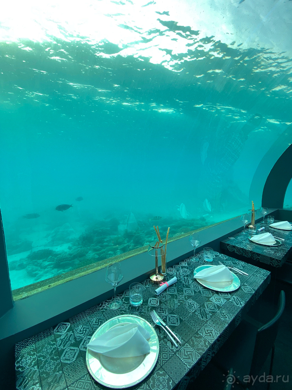 Незабываемый отдых в отеле You & Me Maldives