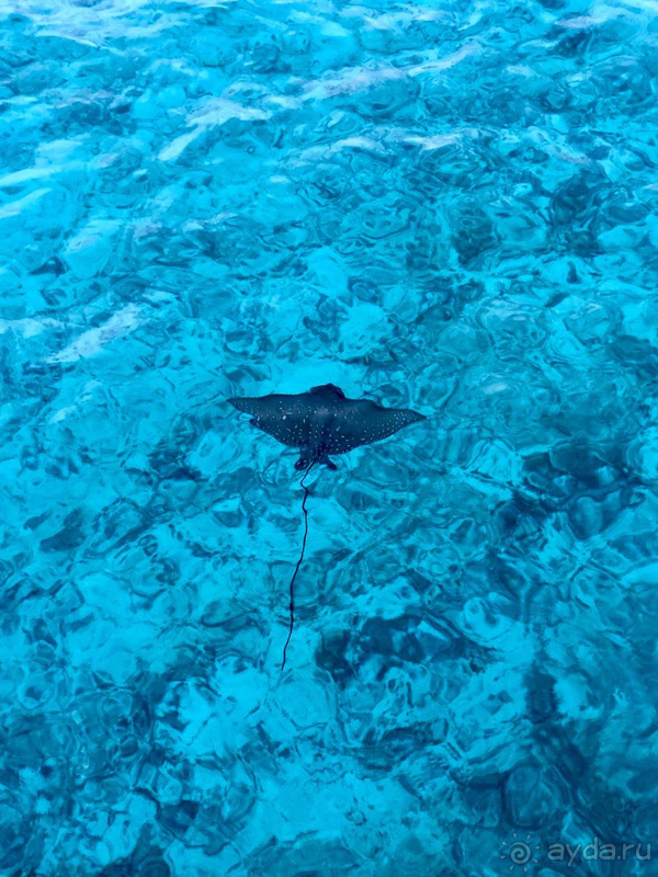 Отель может и не плохой....но вот остров и кухня...