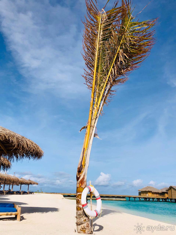 Отель может и не плохой....но вот остров и кухня...