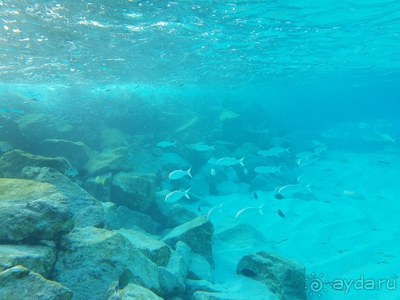 фото You & Me Maldives