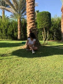 Куда приводят мечты...