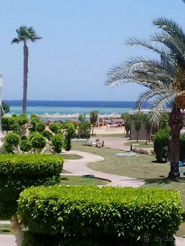 Куда приводят мечты...