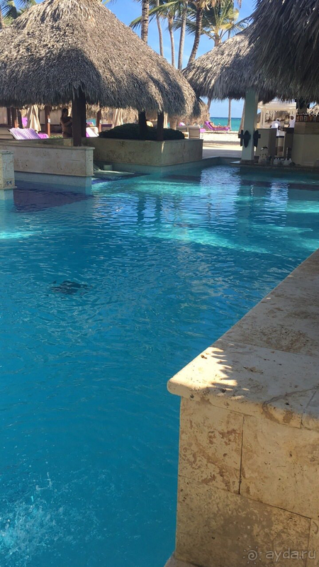 Маленький кусочек счастья...