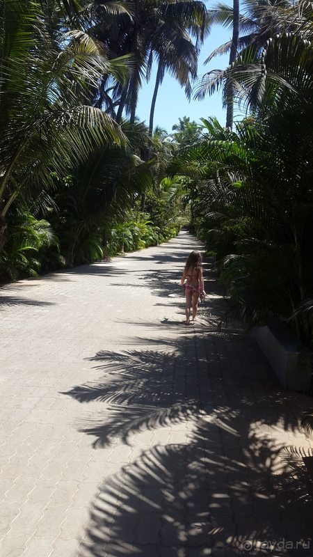 Majestic beach comfort