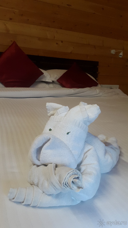 Majestic beach comfort