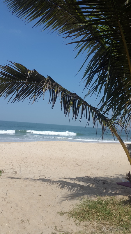 Majestic beach comfort