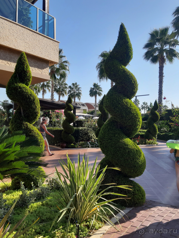 Замечательный отпуск! Оправдались все наши ожидания! 