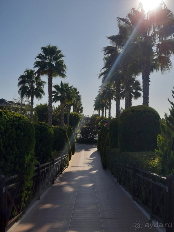 Замечательный отпуск! Оправдались все наши ожидания! 