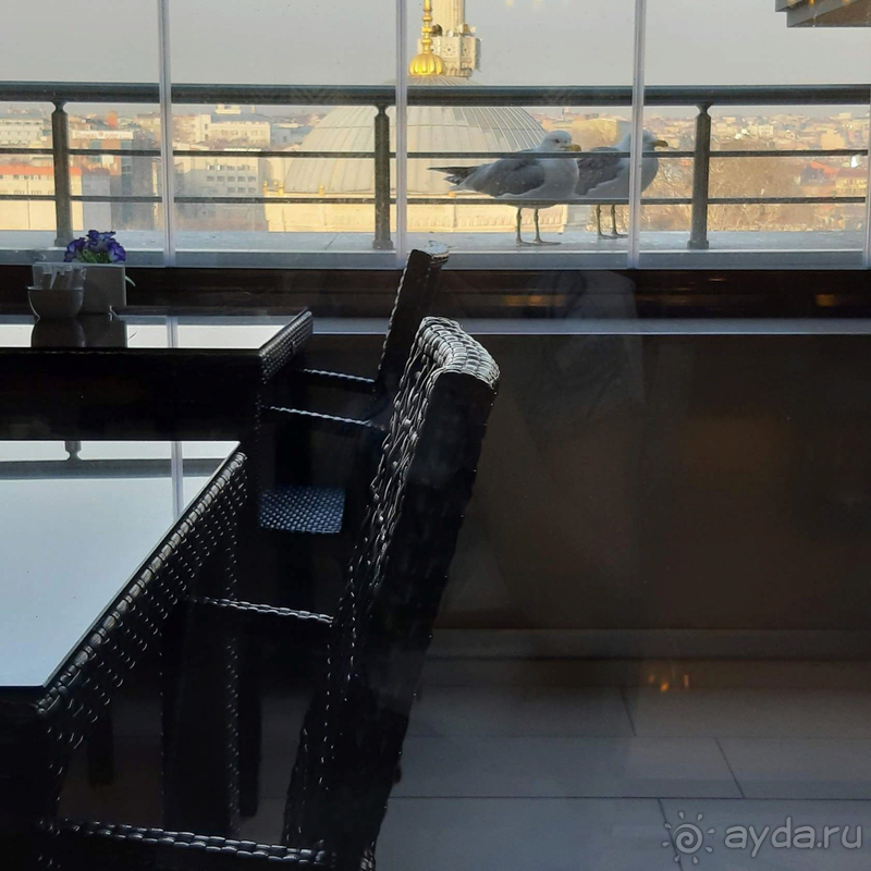 Отелем остались довольны!