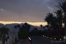 Первая поезда в Египте в мае 2019 г. 