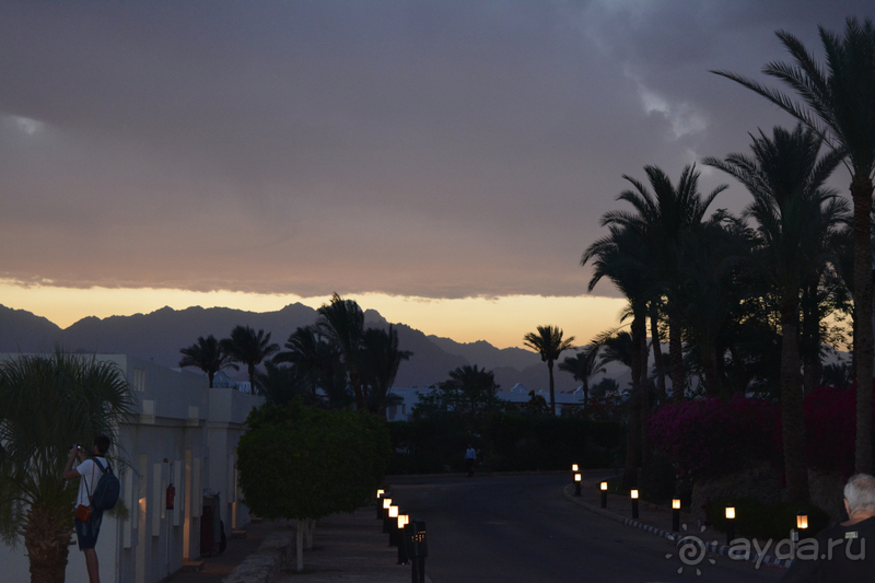 Первая поезда в Египте в мае 2019 г. 