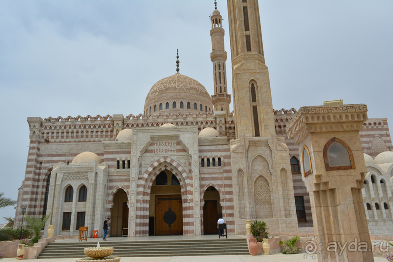 Первая поезда в Египте в мае 2019 г. 