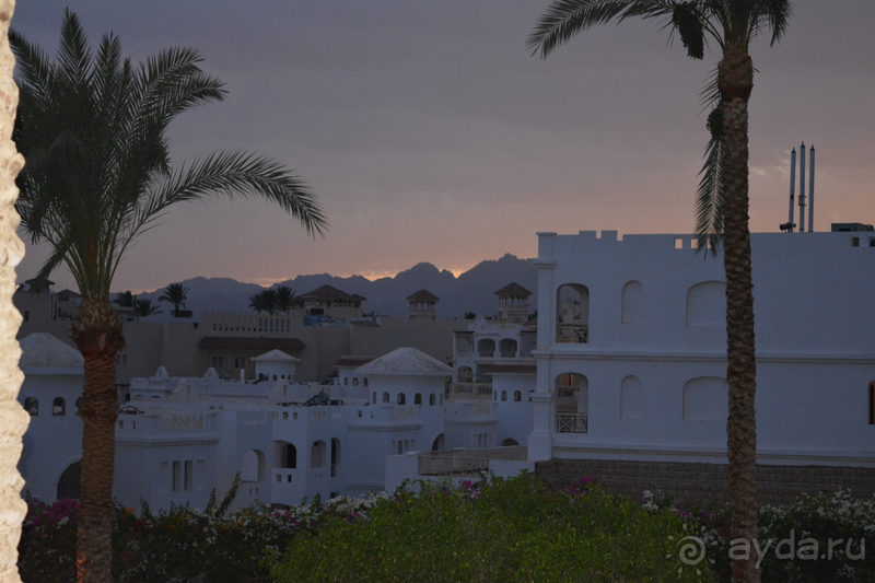 Первая поезда в Египте в мае 2019 г. 