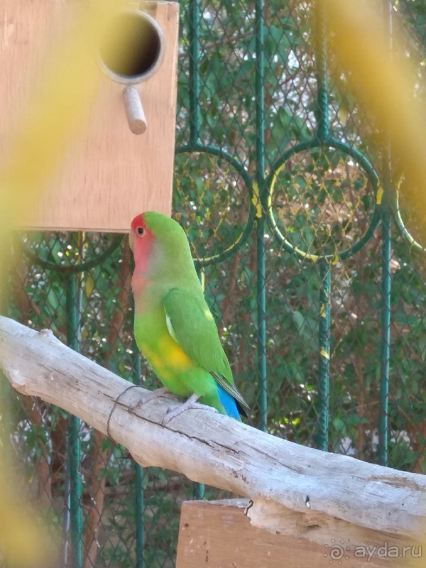 Отдых в Dreams Beach Resort в сентябре 2019 г.  