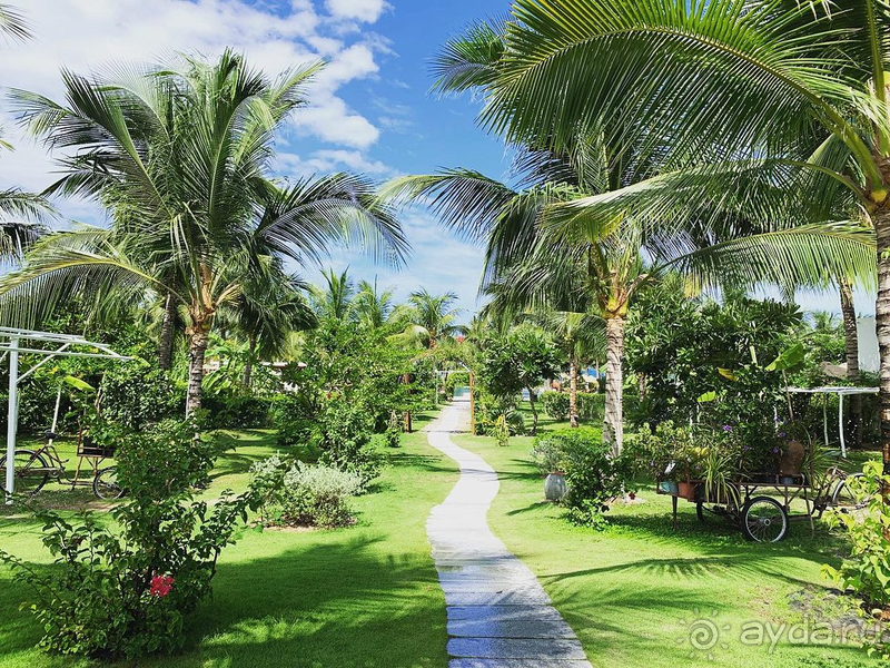 За исключением питания отель оправдывает свои 5 звёзд.