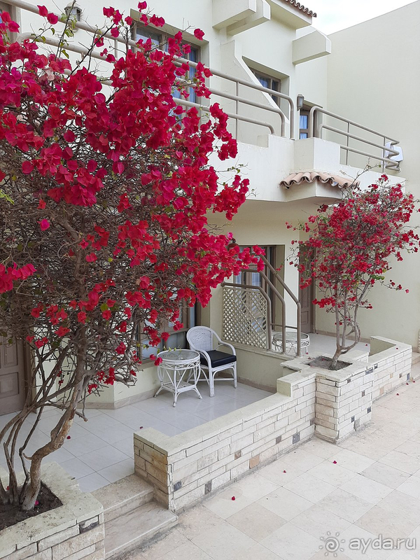 Отель на свои 3 звезды тянет, большего от него ждать не стоит