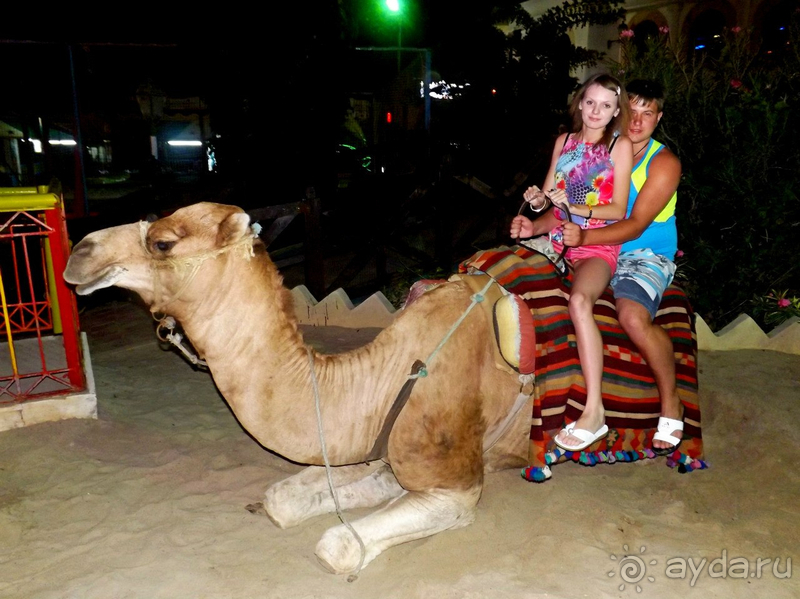 Порт-эль Кантауи