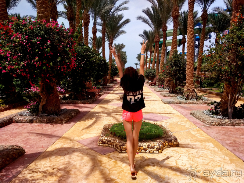 Hawai Riviera Aqua Park - одна из лучших бюджетных четверок.